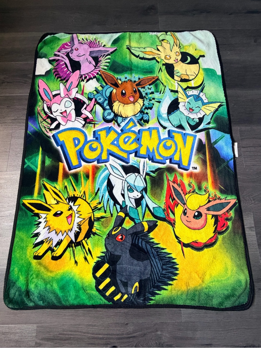 2018 Pokémon Eevee and Eeveelutions Fleece Throw Blanket by the Northwest Group